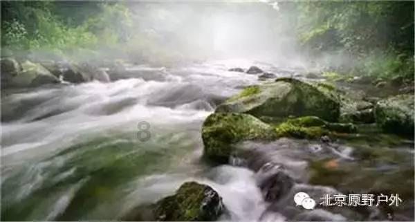 猴子能吃巧克力糖吗?-西藏教育咨询 | 家庭教育建议